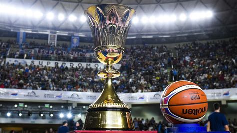 what is the fiba world cup